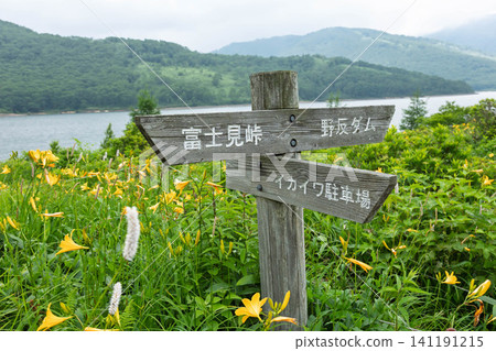 Early summer at Lake Nozori: Hiking trail along the lakeside, signposts, Gunma Prefecture 141191215
