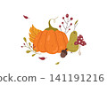 Hand drawn autumn botanical illustration 141191216
