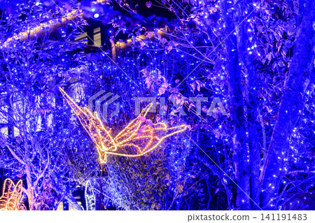 Illuminations at Bihoku Hills National Park in Shobara City, Hiroshima Prefecture Illuminations at Bihoku Hills National Park in Shobara City, Hiroshima Prefecture 141191483