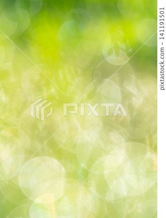 Sparkling pattern, fresh greenery, eco-friendly image Sparkling pattern, fresh greenery, eco-friendly image 141191501