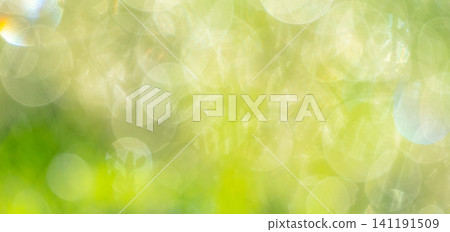 Sparkling pattern, fresh greenery, eco-friendly image Sparkling pattern, fresh greenery, eco-friendly image 141191509