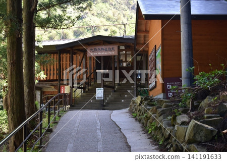 Nagano Jigokudani Monkey Park Nagano Jigokudani Monkey Park 141191633