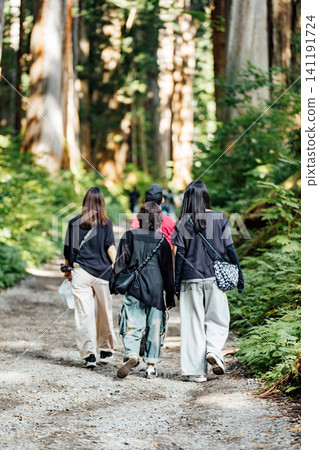 [Togakushi, Nagano City] Togakushi Shrine Inner Sanctuary: Scenery of the cedar-lined approach and tourists 141191724