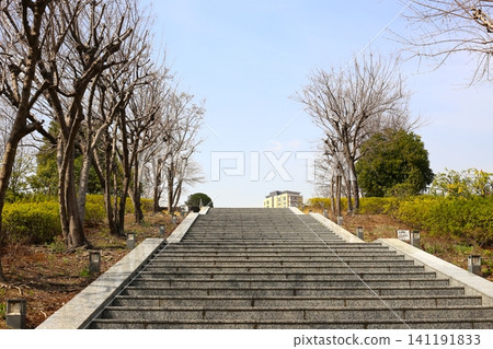 The stairs in Shiba Park and the fresh greenery The stairs in Shiba Park and the fresh greenery 141191833