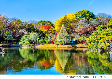 Rikugien Garden in Tokyo: Autumn Leaves Rikugien Garden in Tokyo: Autumn Leaves 141191898