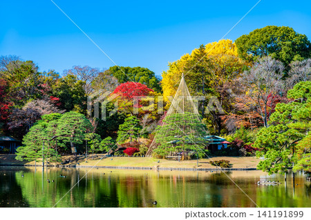 Rikugien Garden in Tokyo: Autumn Leaves Rikugien Garden in Tokyo: Autumn Leaves 141191899