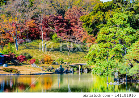 Rikugien Garden in Tokyo: Autumn Leaves 141191910