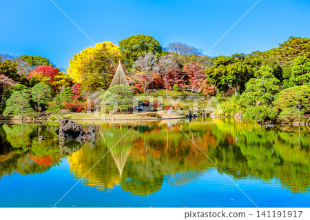 Rikugien Garden in Tokyo: Autumn Leaves Rikugien Garden in Tokyo: Autumn Leaves 141191917