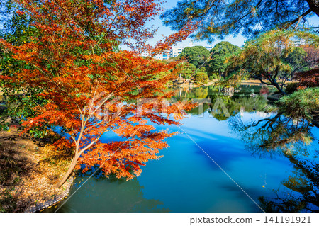 Rikugien Garden in Tokyo: Autumn Leaves Rikugien Garden in Tokyo: Autumn Leaves 141191921