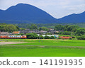 A Series 273 train, the Yakumo limited express on the Hakubi Line, speeding through a vast rural landscape (photographed on June 18, 2026). A Series 273 train, the Yakumo limited express on the Hakubi Line, speeding through a vast rural landscape (photographed on June 18, 2026). 141191935