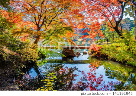 Tokyo's Rikugien Garden and Togetsukyo Bridge in Autumn Foliage Tokyo's Rikugien Garden and Togetsukyo Bridge in Autumn Foliage 141191945