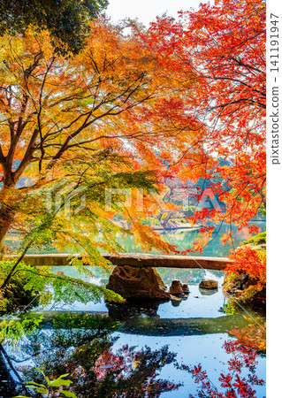 Tokyo's Rikugien Garden and Togetsukyo Bridge in Autumn Foliage Tokyo's Rikugien Garden and Togetsukyo Bridge in Autumn Foliage 141191947