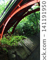 [Tokyo] The scenery of Todoroki Valley and Golf Bridge, quietly remaining in the heart of the city. 141191950