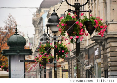 Serbia, Belgrade, Knez Mihailo Street, streetlights, hanging flowers, streetscape Serbia, Belgrade, Knez Mihailo Street, streetlights, hanging flowers, streetscape 141192553