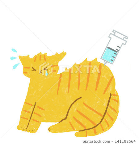A tabby cat crying after getting an injection A tabby cat crying after getting an injection 141192564