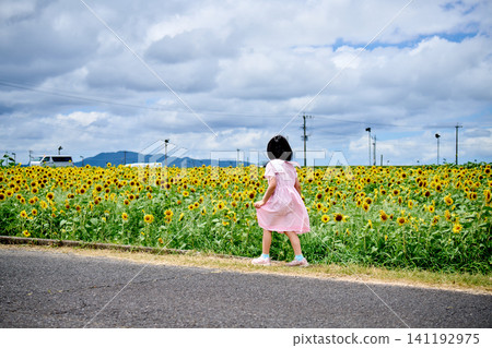 A girl looking happy in a sunflower field 141192975