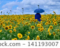 A woman holding a sunflower field and a sunflower 141193007