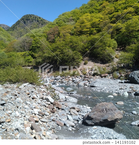 早川主流 早川主流 141193102
