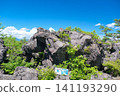 Interesting Rocks 141193290