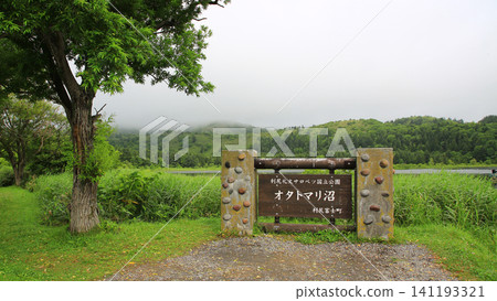 利尻島Otatomari沼澤在北海道 利尻島Otatomari沼澤在北海道 141193321