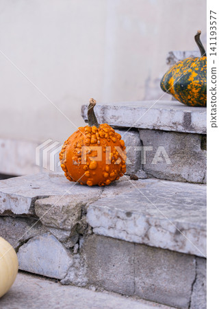 Pumpkins arranged on outdoor building steps creating seasonal autumn entrance decoration. Natural gourds colorful flowers and architectural elements form welcoming exterior display in daylight Pumpkins arranged on outdoor building steps creating seasonal autumn entrance decoration. Natural gourds colorful flowers and architectural elements form welcoming exterior display in daylight 141193577