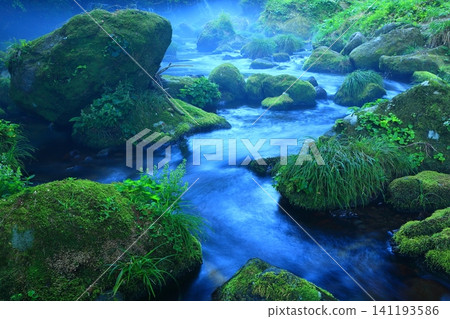 苔蘚岩石和河流 141193586