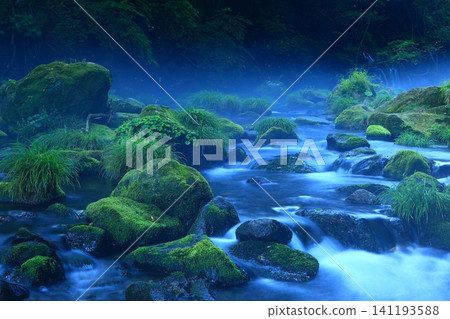 苔蘚岩石和河流 苔蘚岩石和河流 141193588