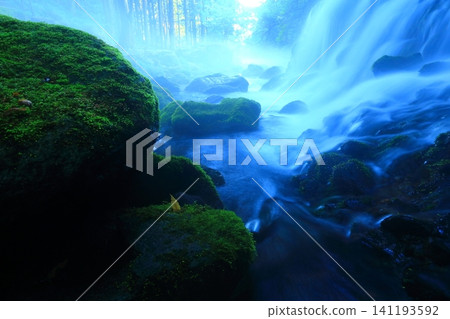 苔蘚岩石和河流 141193592