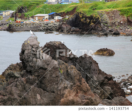 北海道Rishirijima Sengoshi Ogasaki Park 北海道Rishirijima Sengoshi Ogasaki Park 141193754