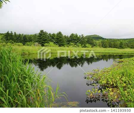 北海道利尻島南哈姆雷特莫赫蘭 北海道利尻島南哈姆雷特莫赫蘭 141193930