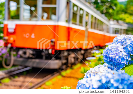 【神奈川縣】箱根登山鐵道繡球花列車 141194291
