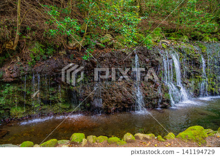 [Kanagawa Prefecture] Hakone Kowakidani, Chisuji Falls 141194729