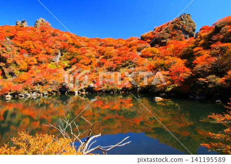 秋天的大船山禦池(竹田市九重山脈) 秋天的大船山禦池(竹田市九重山脈) 141195589