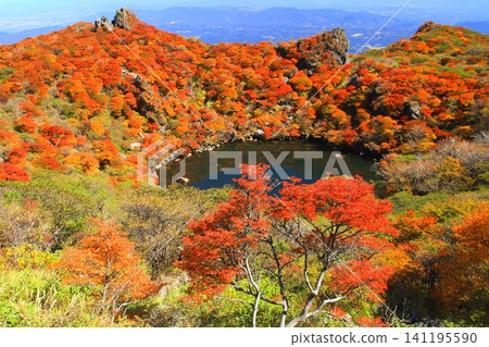 Autumn at Oonoyama Oike Pond (Kuju Mountains, Taketa City) 141195590
