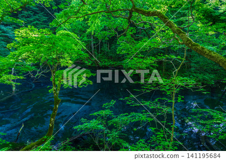 Twelve Lakes, Shirakami Mountains, Nishitsugaru, Aomori Prefecture Twelve Lakes, Shirakami Mountains, Nishitsugaru, Aomori Prefecture 141195684