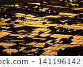 An aerial view of the scattered villages in the Tonami Plain of Toyama Prefecture, where rice paddies glow golden in the setting sun. 141196142