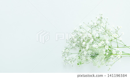 自然綠色背景框,留白,白色背景,滿天星,蕾絲花 自然綠色背景框,留白,白色背景,滿天星,蕾絲花 141196384