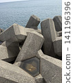 Tetra 141196396