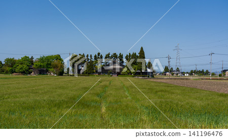 A large Japanese-style house (Azumadachi) with a traditional grove of trees (Kainyo) standing in the Tonami Plain of Toyama Prefecture. A large Japanese-style house (Azumadachi) with a traditional grove of trees (Kainyo) standing in the Tonami Plain of Toyama Prefecture. 141196476