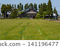 A large Japanese-style house (Azumadachi) with a traditional grove of trees (Kainyo) standing in the Tonami Plain of Toyama Prefecture. 141196477