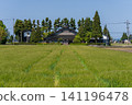A large Japanese-style house (Azumadachi) with a traditional grove of trees (Kainyo) standing in the Tonami Plain of Toyama Prefecture. 141196478