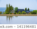 A large Japanese-style house (Azumadachi) with a traditional grove of trees (Kainyo) standing in the Tonami Plain of Toyama Prefecture. 141196481