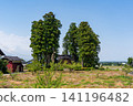 A large Japanese-style house (Azumadachi) with a traditional grove of trees (Kainyo) standing in the Tonami Plain of Toyama Prefecture. 141196482