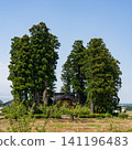 A large Japanese-style house (Azumadachi) with a traditional grove of trees (Kainyo) standing in the Tonami Plain of Toyama Prefecture. 141196483