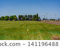 A large Japanese-style house (Azumadachi) with a traditional grove of trees (Kainyo) standing in the Tonami Plain of Toyama Prefecture. 141196488