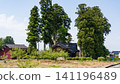 A large Japanese-style house (Azumadachi) with a traditional grove of trees (Kainyo) standing in the Tonami Plain of Toyama Prefecture. 141196489