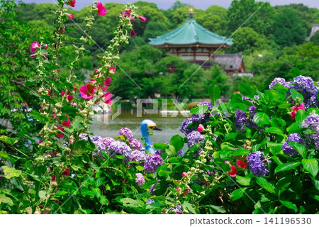Ueno Park, Shinobazu Pond, Bentendo Temple, Hydrangeas, Hollyhocks - Landscape Material Ueno Park, Shinobazu Pond, Bentendo Temple, Hydrangeas, Hollyhocks - Landscape Material 141196530