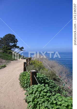 Scenic La Jolla Coastal Walking Trail and Ocean View in San Diego Scenic La Jolla Coastal Walking Trail and Ocean View in San Diego 141196597