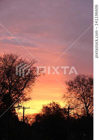 Vibrant Orange and Purple Sunset Skyline with Silhouette Trees Vibrant Orange and Purple Sunset Skyline with Silhouette Trees 141196606