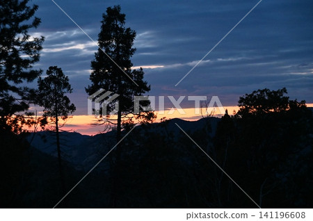 Dusk silhouette of pine trees against a vibrant mountain sunset sky. Dusk silhouette of pine trees against a vibrant mountain sunset sky. 141196608